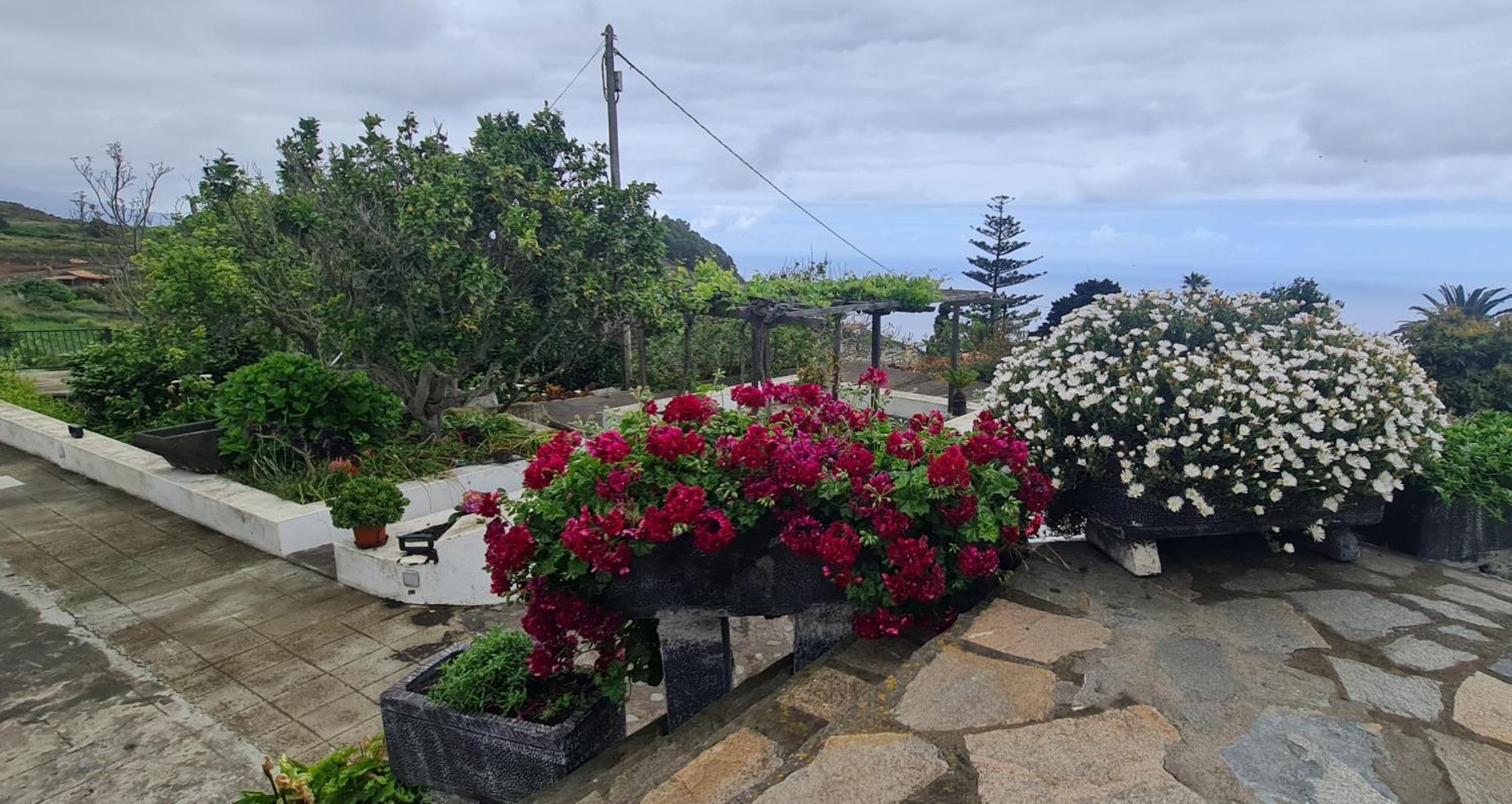Vivienda Vacacional Finca Monterrey Mazo ห้อง รูปภาพ
